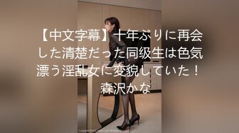 【中文字幕】十年ぶりに再会した清楚だった同级生は色気漂う淫乱女に変貌していた！　森沢かな