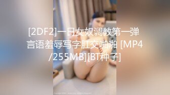 [2DF2]一日女奴调教第一弹 言语羞辱写字肛交啪啪 [MP4/255MB][BT种子]