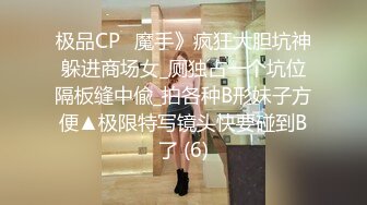 极品CP✅魔手》疯狂大胆坑神躲进商场女_厕独占一个坑位隔板缝中偸_拍各种B形妹子方便▲极限特写镜头快要碰到B了 (6)