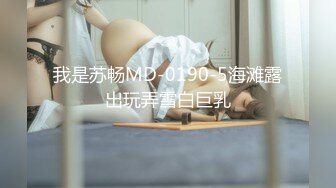 我是苏畅MD-0190-5海滩露出玩弄雪白巨乳