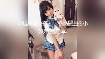 寻佳木斯好友……孙先生的小妖精第二季