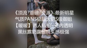 《顶流?重磅?资源》最新明星气质PANS极品大奶S级御姐【暖暖】诱人私拍~无内透明黑丝露奶露鲍镜头感极强