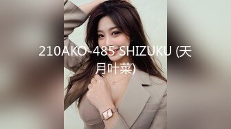 210AKO-485 SHIZUKU (天月叶菜)