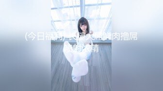 七彩橙子味儿的夏美人