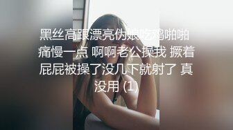 黑丝高跟漂亮伪娘吃鸡啪啪 痛慢一点 啊啊老公操我 撅着屁屁被操了没几下就射了 真没用 (1)