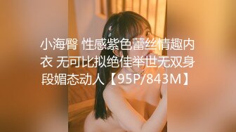 小海臀 性感紫色蕾丝情趣内衣 无可比拟绝佳举世无双身段媚态动人【95P/843M】