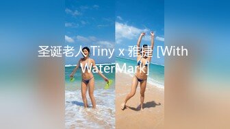 圣诞老人 Tiny x 雅捷 [With WaterMark]