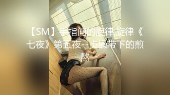 【SM】手指间的旋律,旋律《七夜》第五夜--贞操带下的煎熬