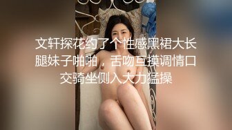 文轩探花约了个性感黑裙大长腿妹子啪啪，舌吻互摸调情口交骑坐侧入大力猛操