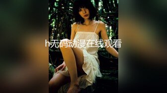 h无码动漫在线观看