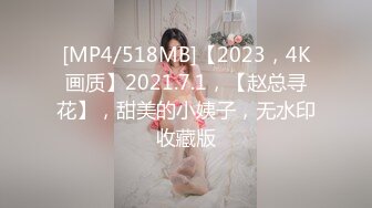 [MP4/518MB]【2023，4K画质】2021.7.1，【赵总寻花】，甜美的小姨子，无水印收藏版