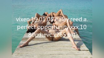 vixen.19.01.05.haley.reed.a.perfect.opportunity.xxx.1080p.hevc.x265.prt