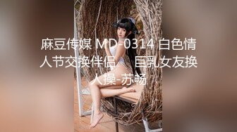 麻豆传媒 MD-0314 白色情人节交换伴侣❤️巨乳女友换人操-苏畅