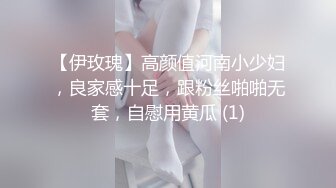 【伊玫瑰】高颜值河南小少妇，良家感十足，跟粉丝啪啪无套，自慰用黄瓜 (1)