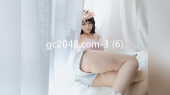 gc2048.com-3 (6)